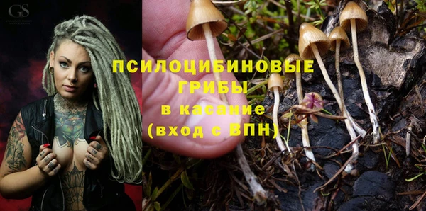 прущая мука Пестово