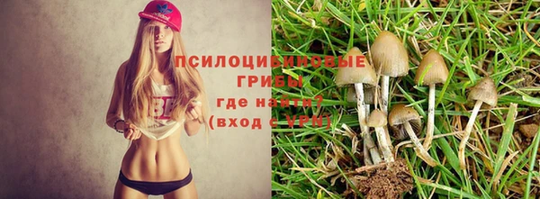 амф Елабуга