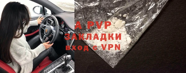 шишки Заводоуковск