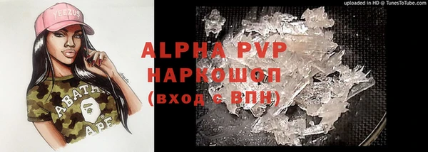шишки Заводоуковск