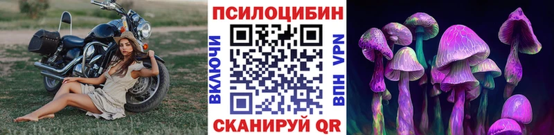 Псилоцибиновые грибы мухоморы это телеграм Лобня сколько стоит