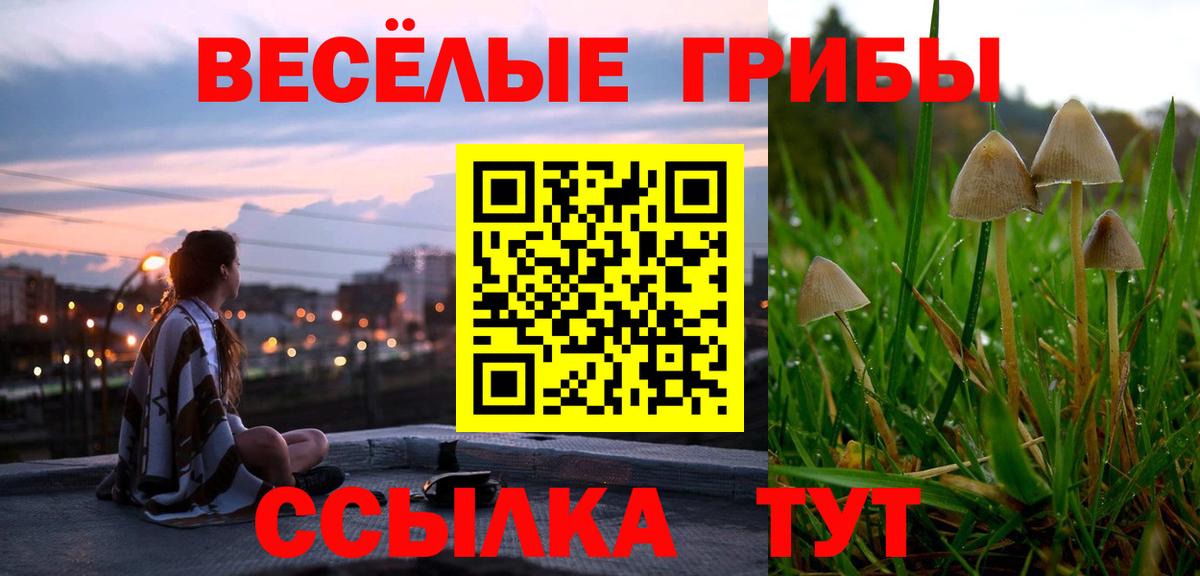 Галлюциногенные грибы Magic Shrooms  Псилоцибиновые грибы мицелий  Лобня  Вход с VPN 
