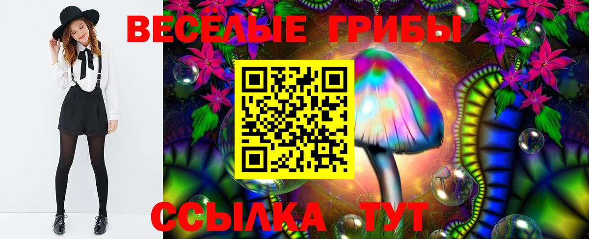 Галлюциногенные грибы GOLDEN TEACHER Лобня